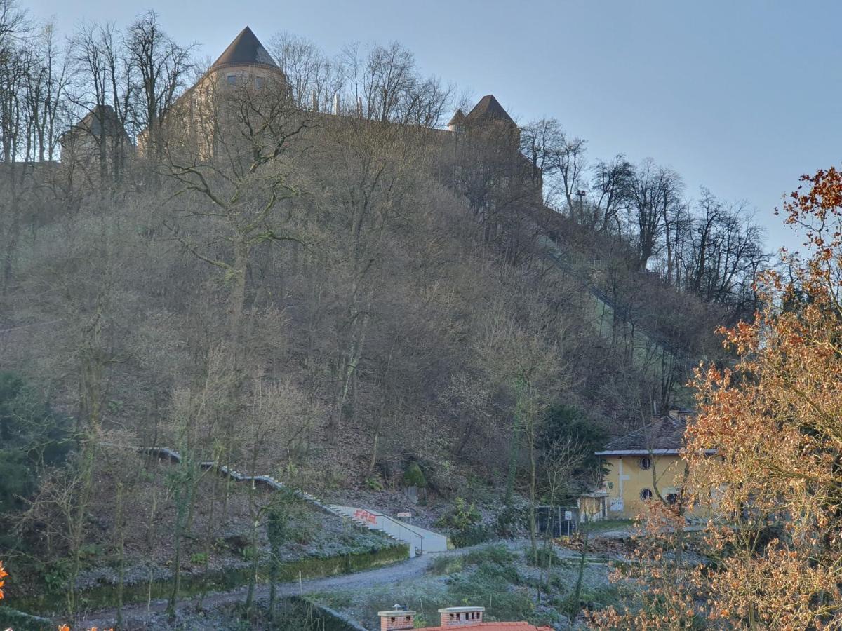 Bossa Nova Castle&Outstanding Home With Garage Ljubljana Kültér fotó